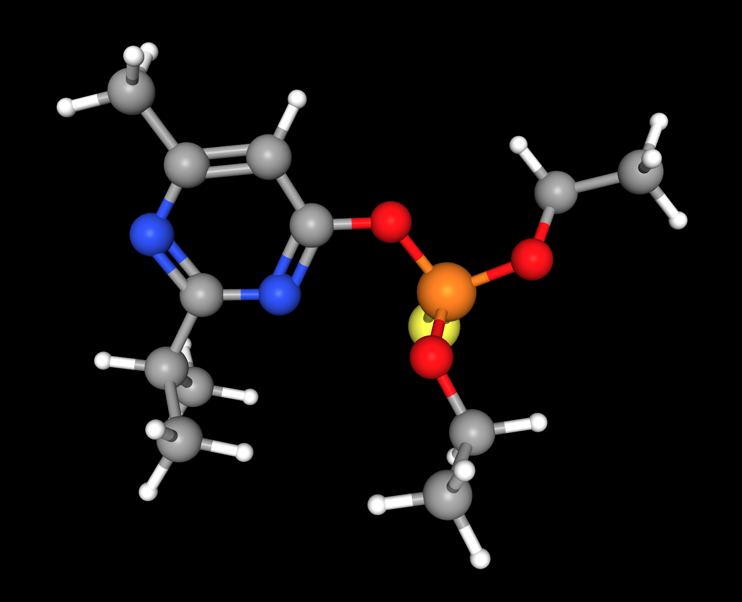 Wet Sheep - Well nearly!